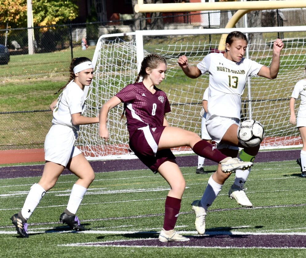 Ellicottville knocks off North Collins in Class D finals News, Sports